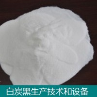 沉淀白炭黑技術(shù)和設(shè)備