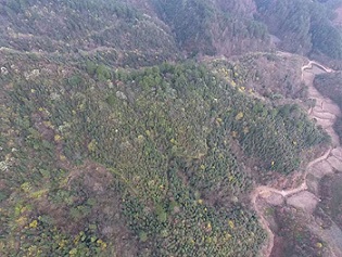 浙江眾扶農(nóng)業(yè)，湖州茶園加盟，浙江茶山加盟，湖州轉運珍茶